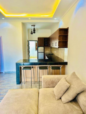 Dash apartment No 1